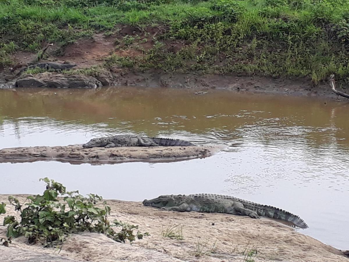 Elephant Paradise Safari Bungalow Udawalawe Ngoại thất bức ảnh